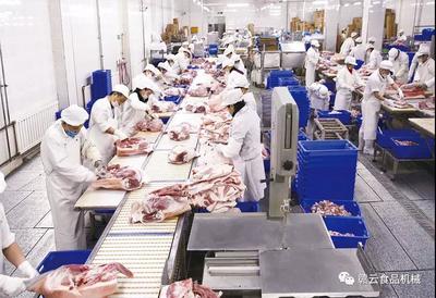 觸目驚心！豬價“跌跌不休”，養殖戶何去何從？食品銷售端迎來新挑戰與機遇